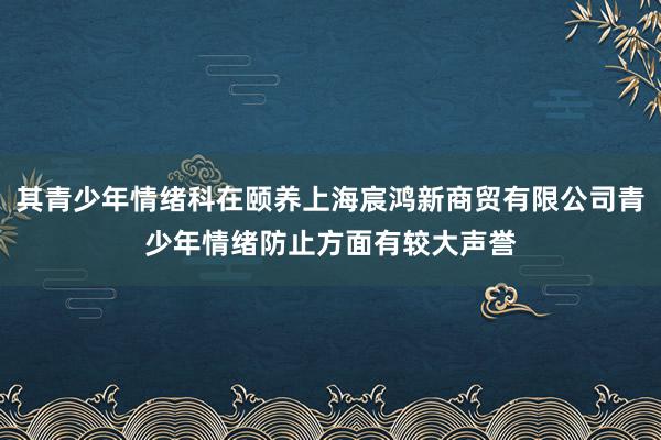 其青少年情绪科在颐养上海宸鸿新商贸有限公司青少年情绪防止方面有较大声誉